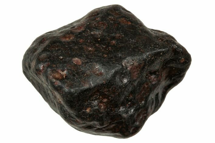 Carbonaceous Chondrite Meteorite ( g) - NWA #334480